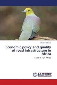 bokomslag Economic policy and quality of road infrastructure in Africa