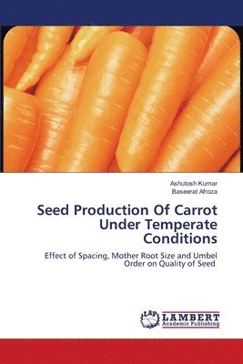 Seed Production Of Carrot Under Temperate Conditions 1