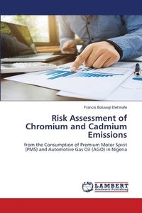 bokomslag Risk Assessment of Chromium and Cadmium Emissions