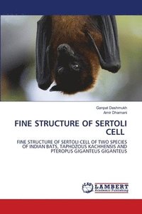 bokomslag Fine Structure of Sertoli Cell