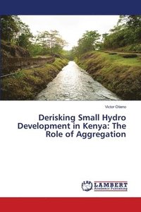 bokomslag Derisking Small Hydro Development in Kenya