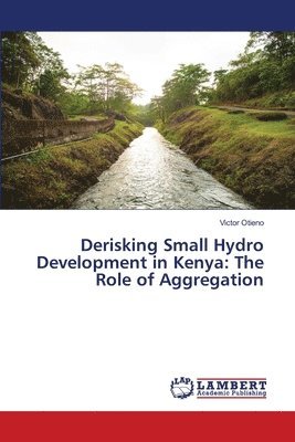 bokomslag Derisking Small Hydro Development in Kenya