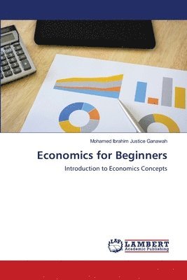 bokomslag Economics for Beginners