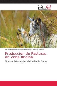 bokomslag Produccin de Pasturas en Zona Andina