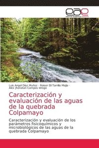 bokomslag Caracterizacin y evaluacin de las aguas de la quebrada Colpamayo