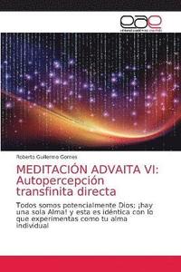 bokomslag Meditacion Advaita VI