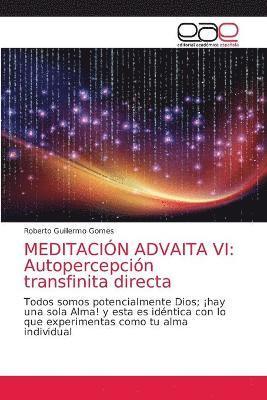bokomslag Meditacion Advaita VI