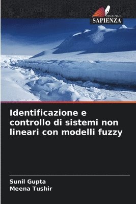 bokomslag Identificazione e controllo di sistemi non lineari con modelli fuzzy