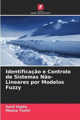 Sunil Gupta, Meena Tushir - Identificação e Controlo de Sistemas Não-Lineares por Modelos Fuzzy, Häftad