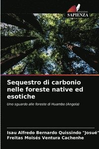 bokomslag Sequestro di carbonio nelle foreste native ed esotiche