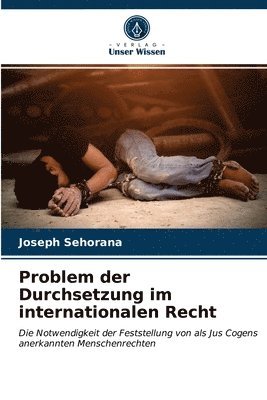 bokomslag Problem der Durchsetzung im internationalen Recht