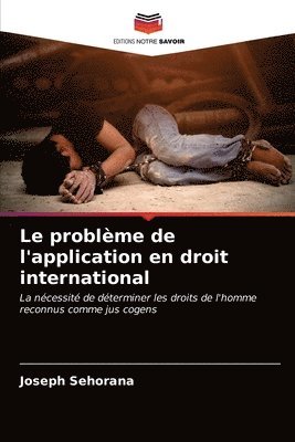 bokomslag Le problme de l'application en droit international