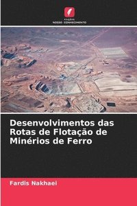 bokomslag Desenvolvimentos das Rotas de Flotao de Minrios de Ferro