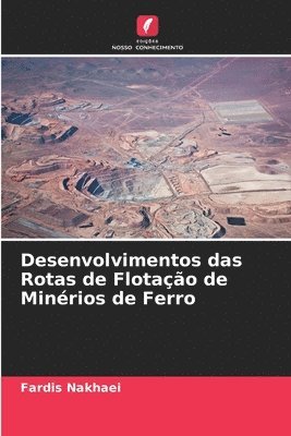 bokomslag Desenvolvimentos das Rotas de Flotao de Minrios de Ferro