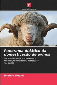 bokomslag Panorama didático da domesticação de ovinos