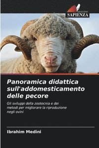 bokomslag Panoramica didattica sull'addomesticamento delle pecore