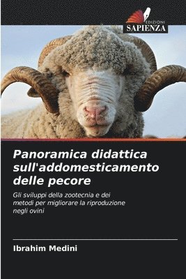 bokomslag Panoramica didattica sull'addomesticamento delle pecore