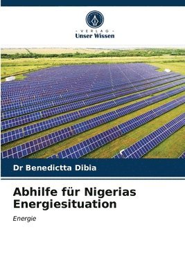 Abhilfe fr Nigerias Energiesituation 1