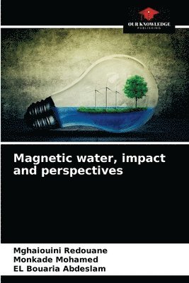 Magnetic water, impact and perspectives 1