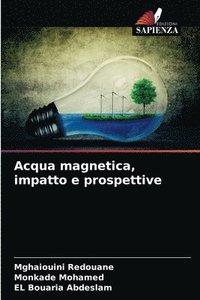 bokomslag Acqua magnetica, impatto e prospettive