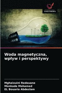 bokomslag Woda magnetyczna, wplyw i perspektywy