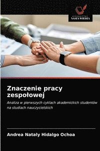 bokomslag Znaczenie pracy zespolowej