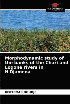 bokomslag Morphodynamic study of the banks of the Chari and Logone rivers in N'Djamena