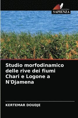 Studio morfodinamico delle rive dei fiumi Chari e Logone a N'Djamena 1