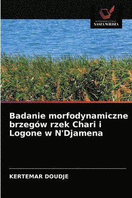 bokomslag Badanie morfodynamiczne brzegow rzek Chari i Logone w N'Djamena