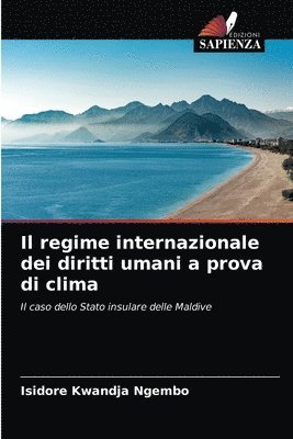 bokomslag Il regime internazionale dei diritti umani a prova di clima