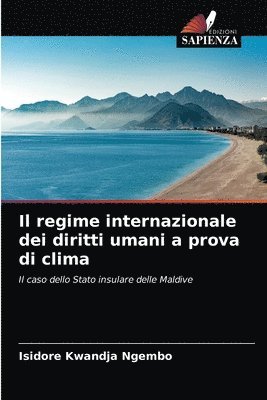 bokomslag regime internazionale dei diritti umani a prova di clima