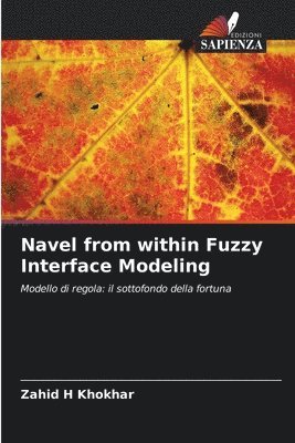 Navel from within Fuzzy Interface Modeling