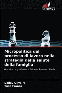 bokomslag Micropolitica del processo di lavoro nella strategia della salute della famiglia