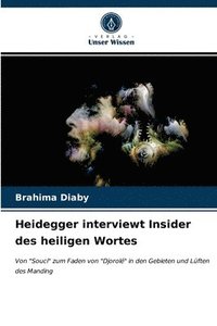 bokomslag Heidegger interviewt Insider des heiligen Wortes