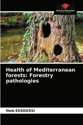 bokomslag Health of Mediterranean forests
