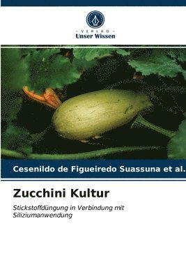 Zucchini Kultur 1