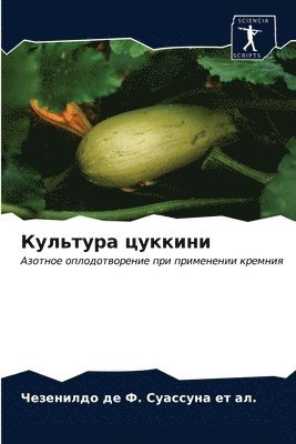 &#1050;&#1091;&#1083;&#1100;&#1090;&#1091;&#1088;&#1072; &#1094;&#1091;&#1082;&#1082;&#1080;&#1085;&#1080; 1