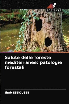 Salute delle foreste mediterranee 1
