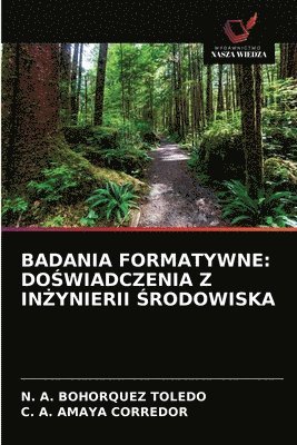 bokomslag Badania Formatywne