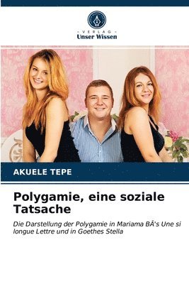 Akuélé Tepe - Polygamie, eine soziale Tatsache, Häftad