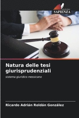 bokomslag Natura delle tesi giurisprudenziali