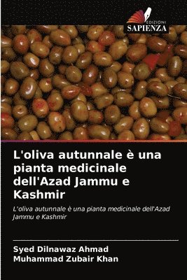 L'oliva autunnale  una pianta medicinale dell'Azad Jammu e Kashmir 1