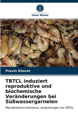 TBTCL induziert reproduktive und biochemische Vernderungen bei Swassergarnelen 1