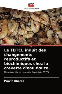 bokomslag Le TBTCL induit des changements reproductifs et biochimiques chez la crevette d'eau douce.