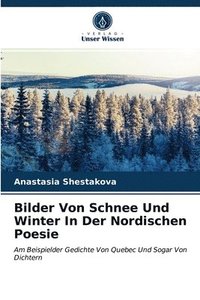 bokomslag Bilder Von Schnee Und Winter In Der Nordischen Poesie