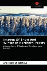 bokomslag Images Of Snow And Winter In Northern Poetry