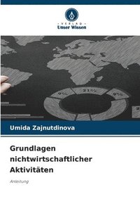 bokomslag Grundlagen nichtwirtschaftlicher Aktivitten