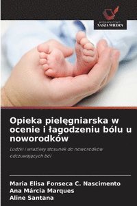 bokomslag Opieka piel¿gniarska w ocenie i ¿agodzeniu bólu u noworodków
