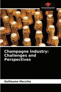 bokomslag Champagne Industry