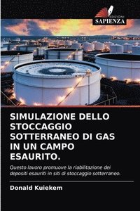 bokomslag Simulazione Dello Stoccaggio Sotterraneo Di Gas in Un Campo Esaurito.